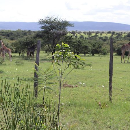 Kambu Mara Camp Sekenani Exterior foto