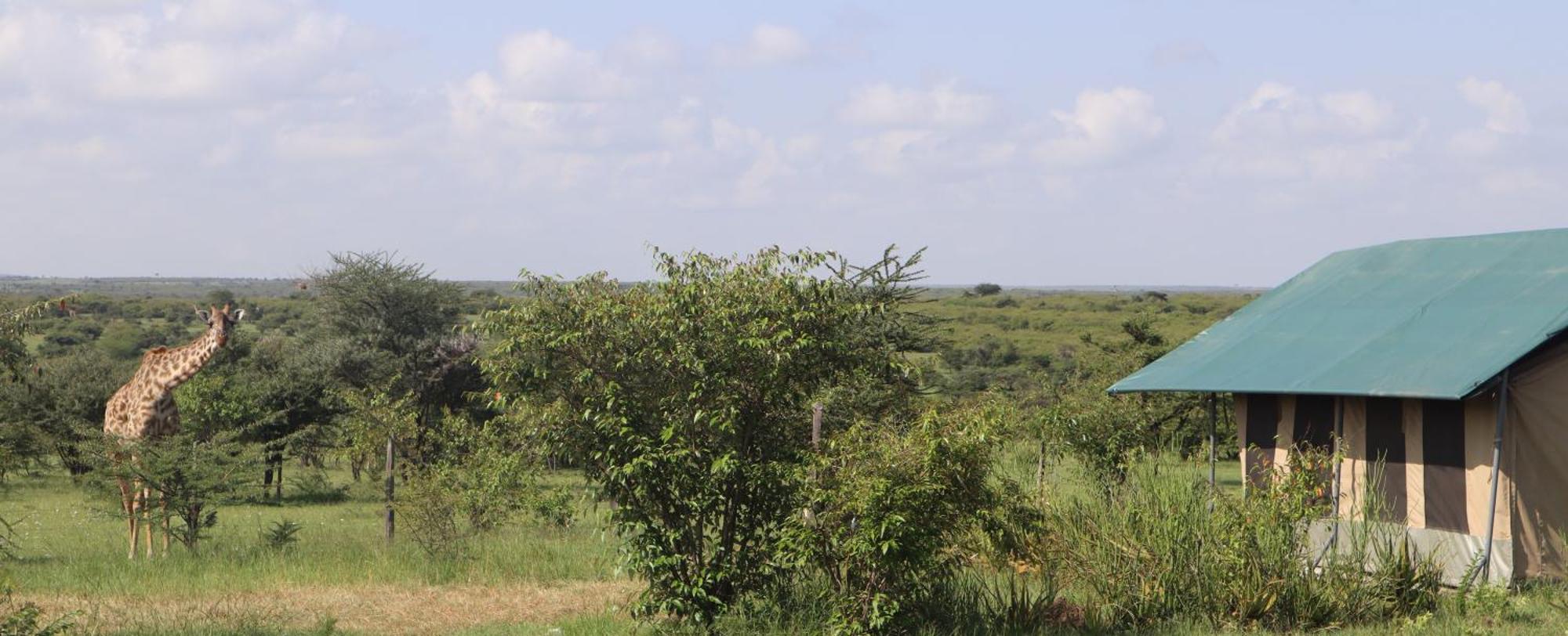Kambu Mara Camp Sekenani Exterior foto