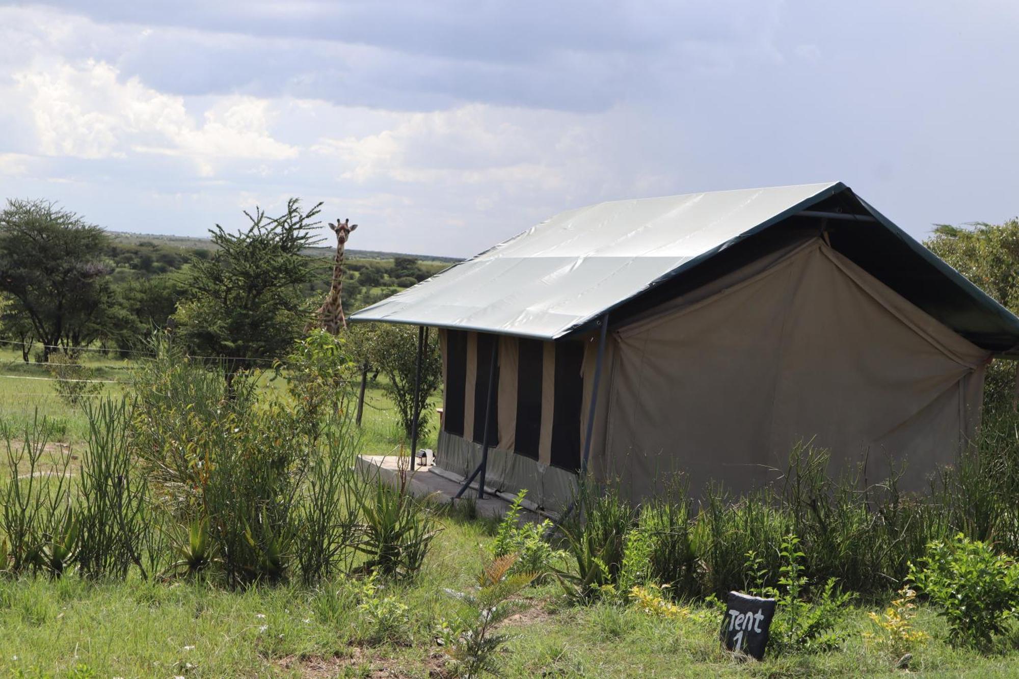 Kambu Mara Camp Sekenani Exterior foto